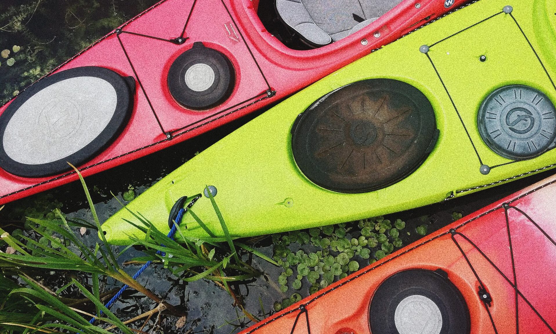 olena-sergienko-0H39XNmLbcs-unsplash